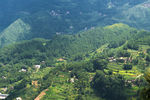 山村