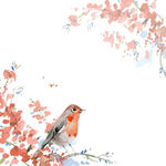 小鸟
