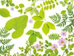 绿叶鲜花元素大全psd分层素材