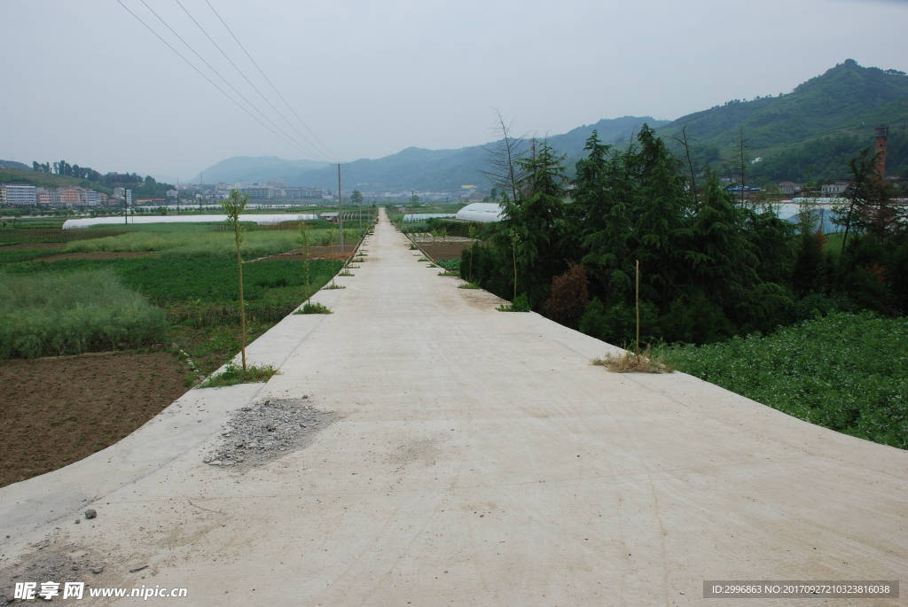 石泉杨家坝