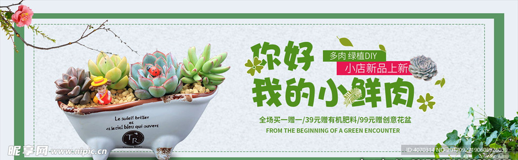 灰色小清新多肉绿植盆电商海报