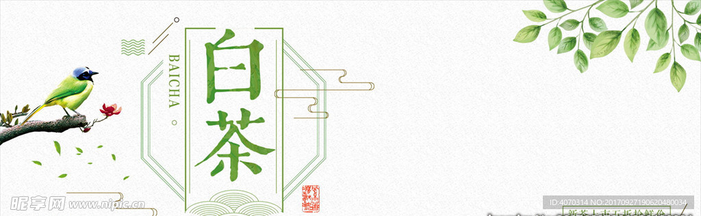 绿色文艺小清新茶叶白茶树叶电商