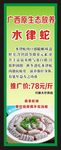 水律蛇展架