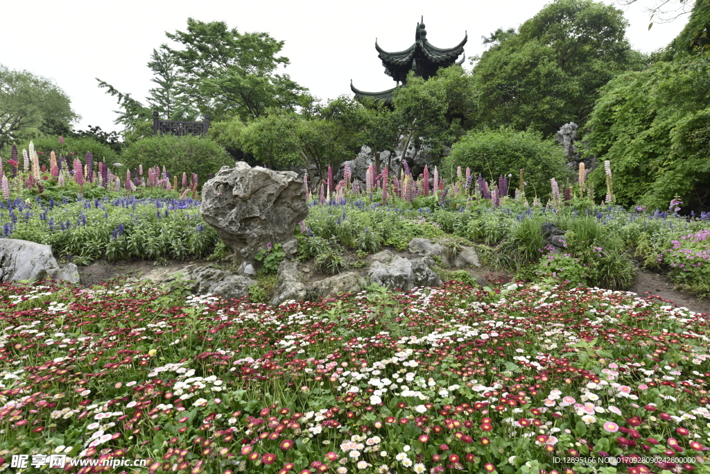 花圃