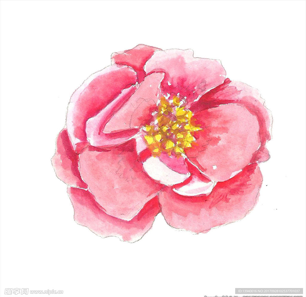 手绘可爱花朵
