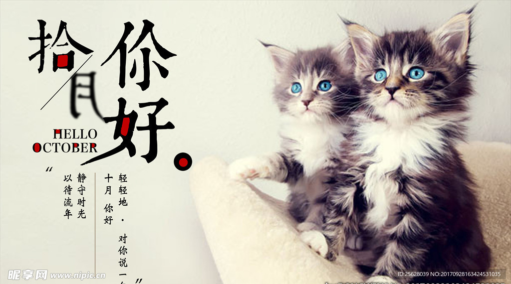 可爱猫咪十月你好唯美海报