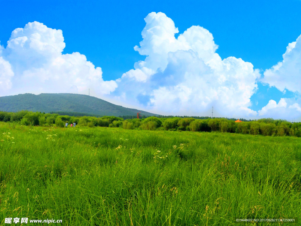 草原风景