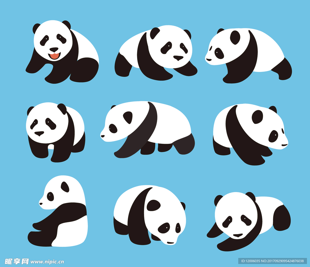 蓝色背景上的卡通可爱大熊猫