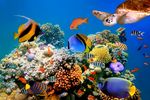 海底世界