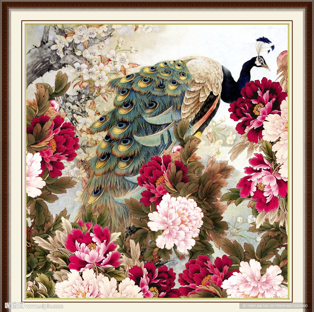 孔雀牡丹