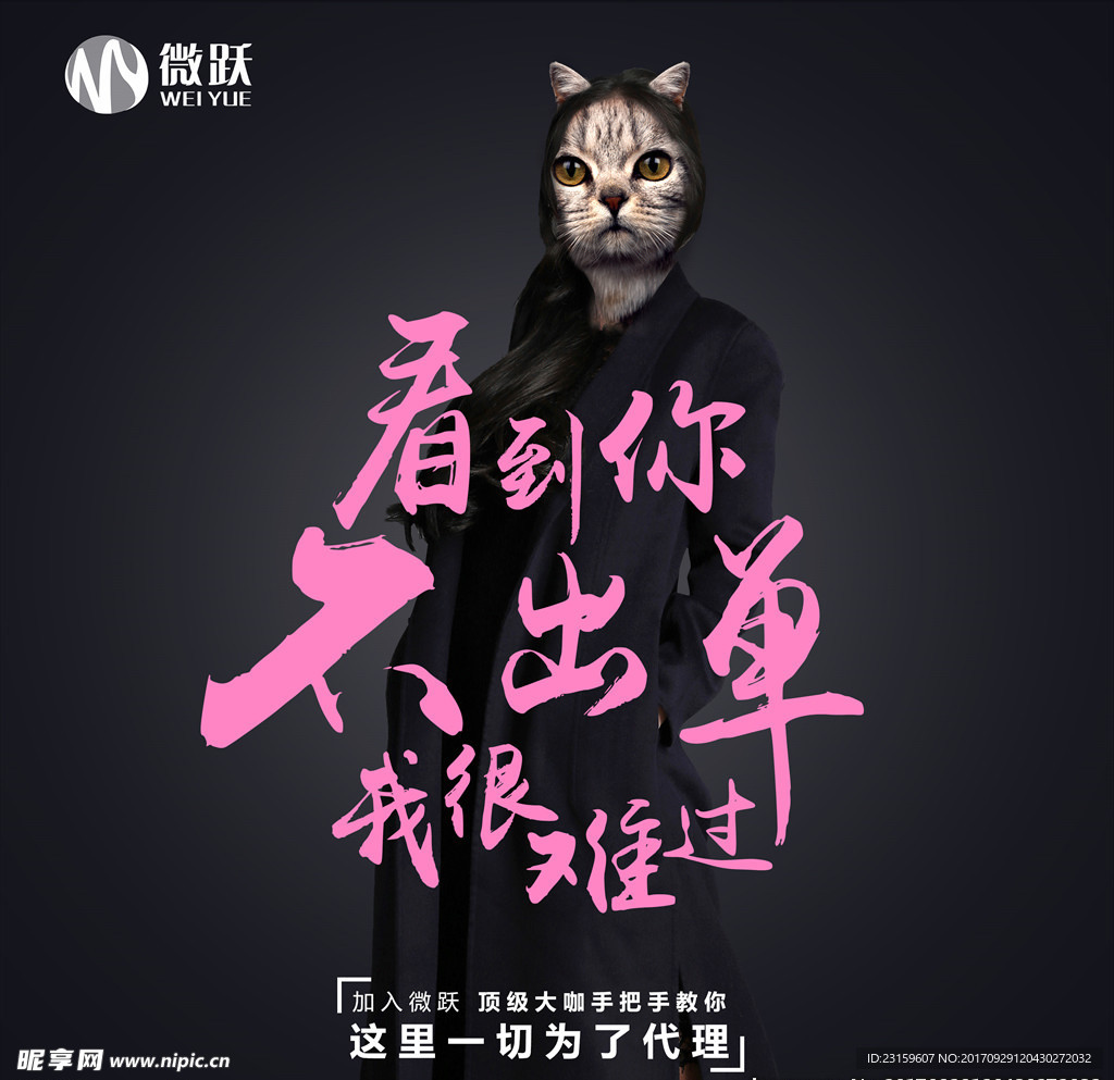 团队