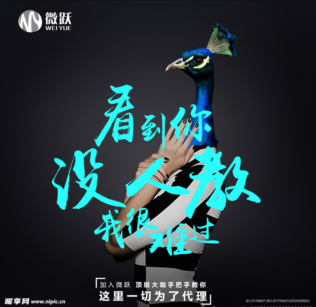 团队