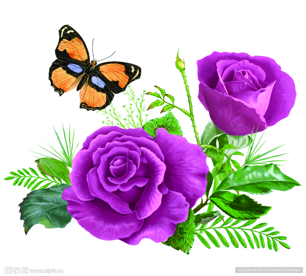玫瑰花