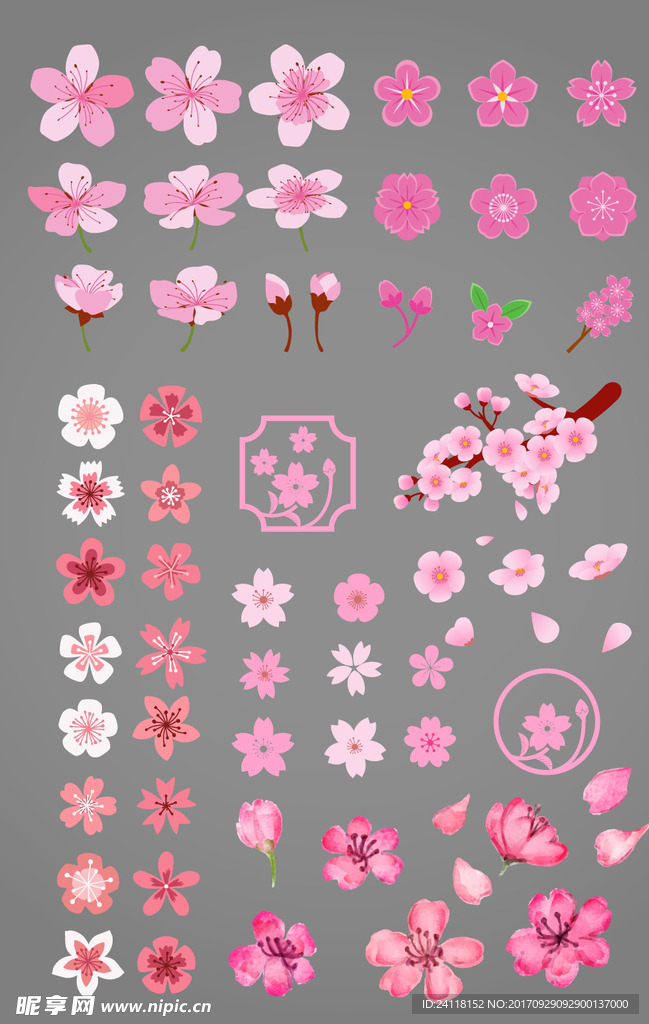 矢量花瓣