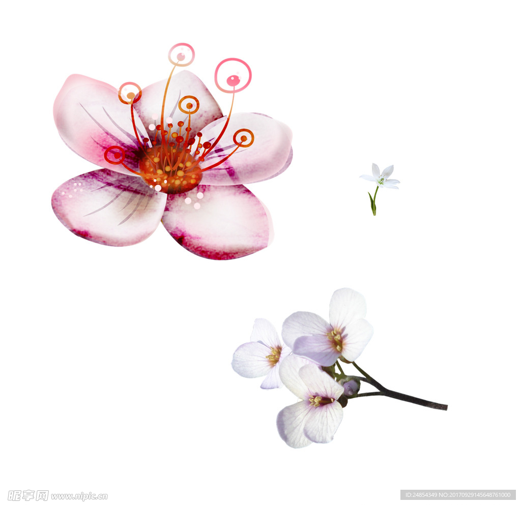 花