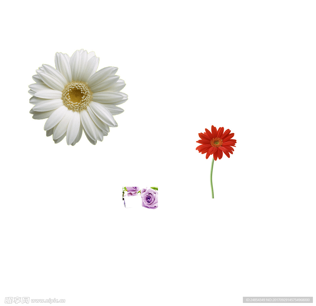 花