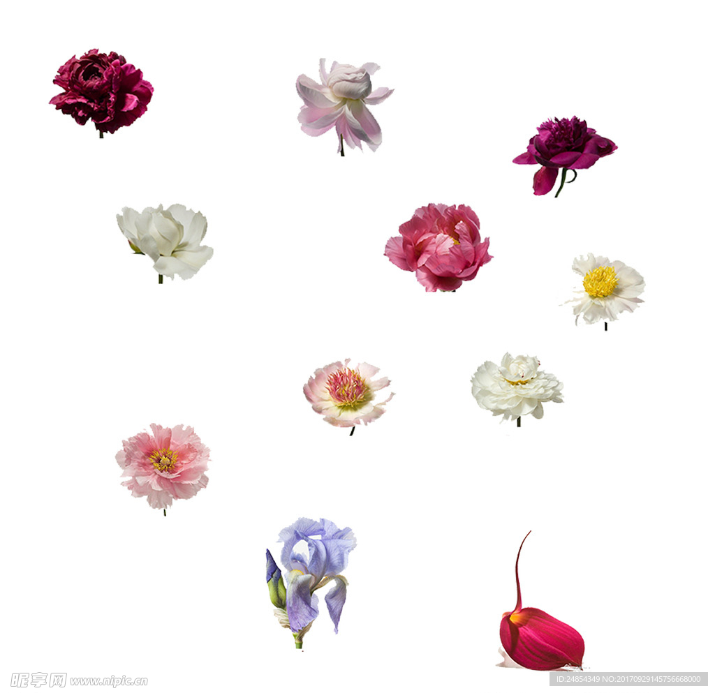 花