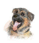 狗