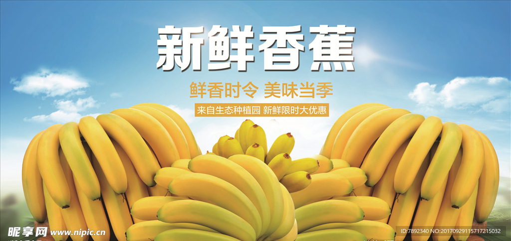 香蕉