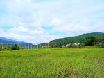 田园风光