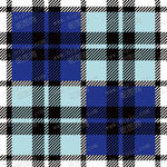 矢量格子