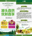 百香果活动介绍宣传展架