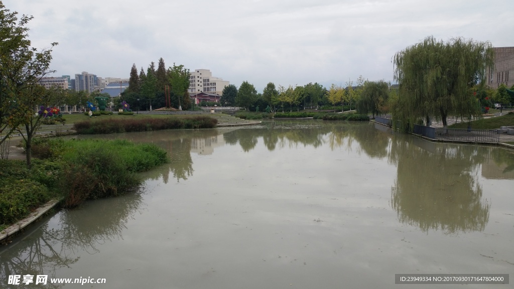 水池