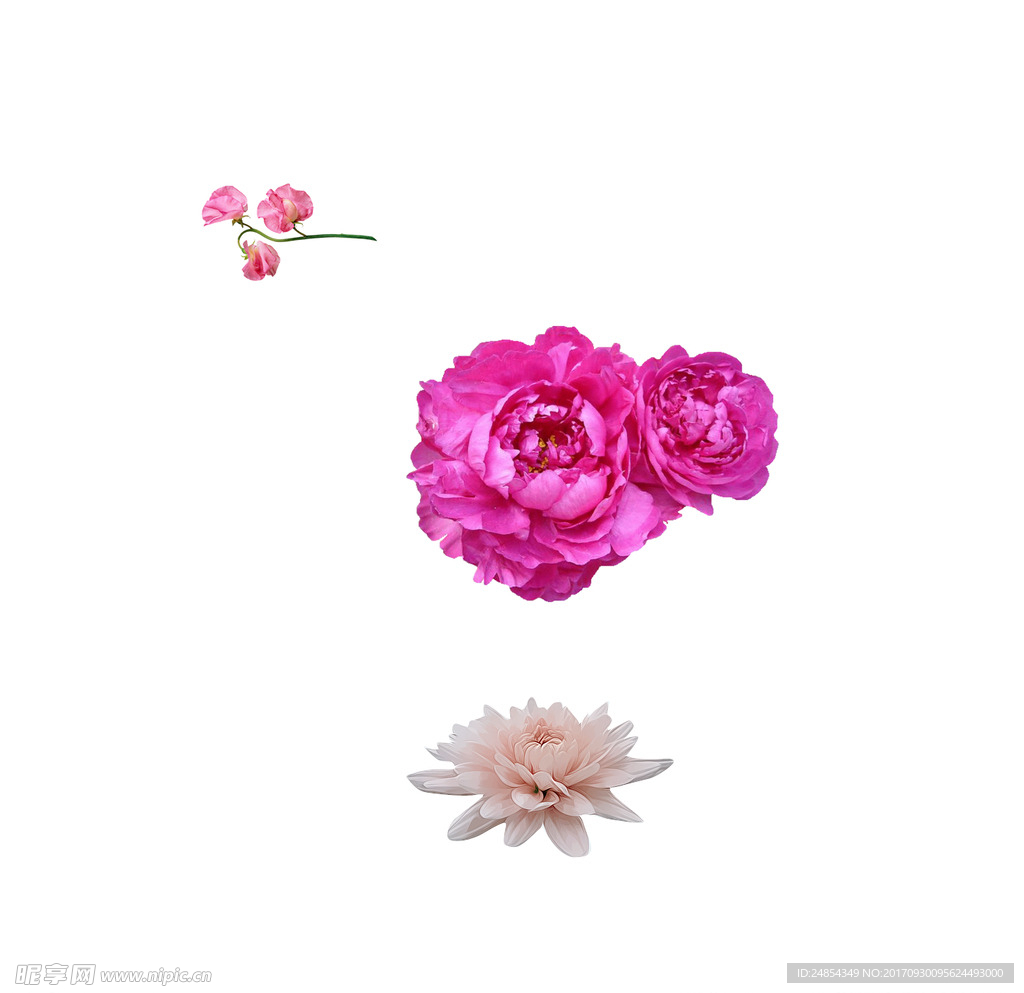 花