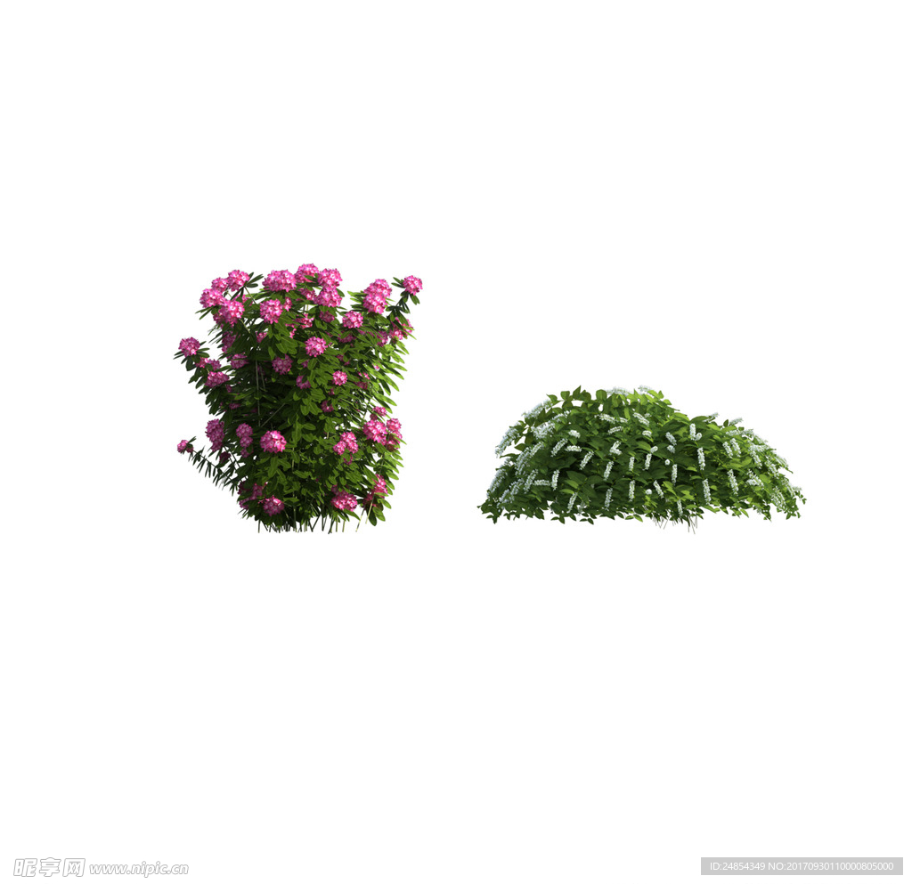 树