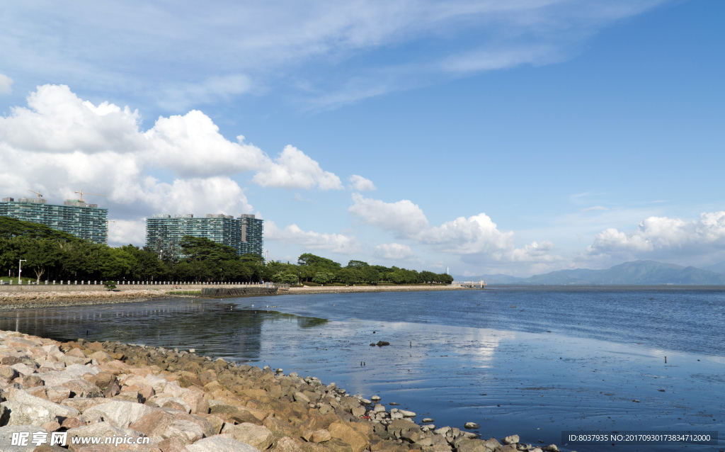 深圳湾公园