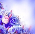鲜花