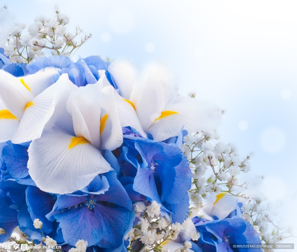 鲜花