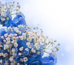鲜花