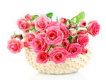 鲜花