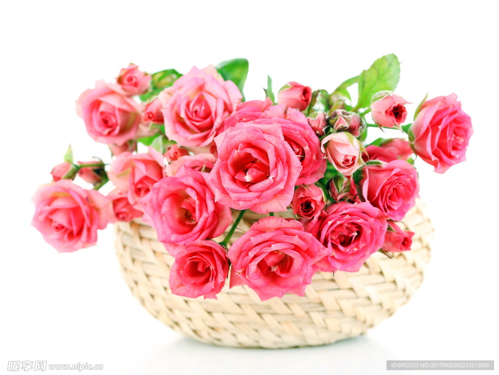鲜花
