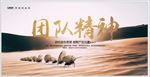 团队精神