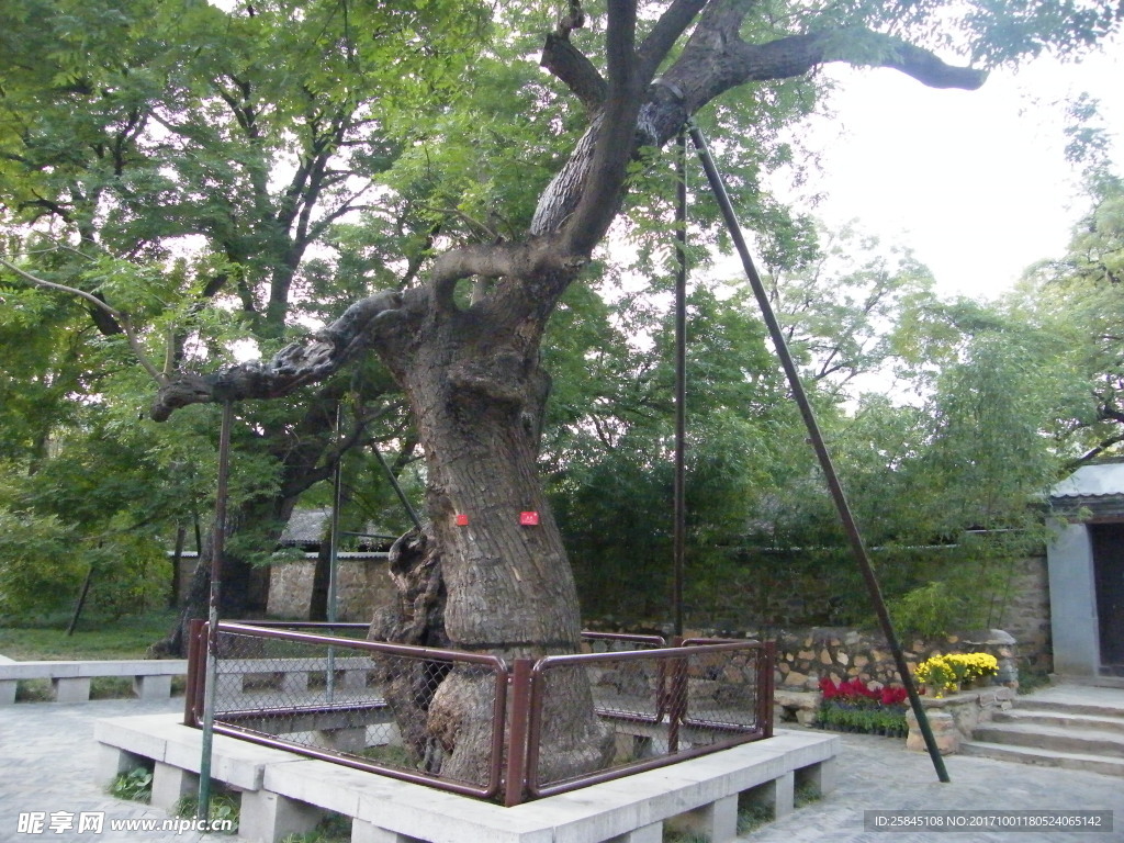 北京景观