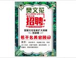 樊文花
