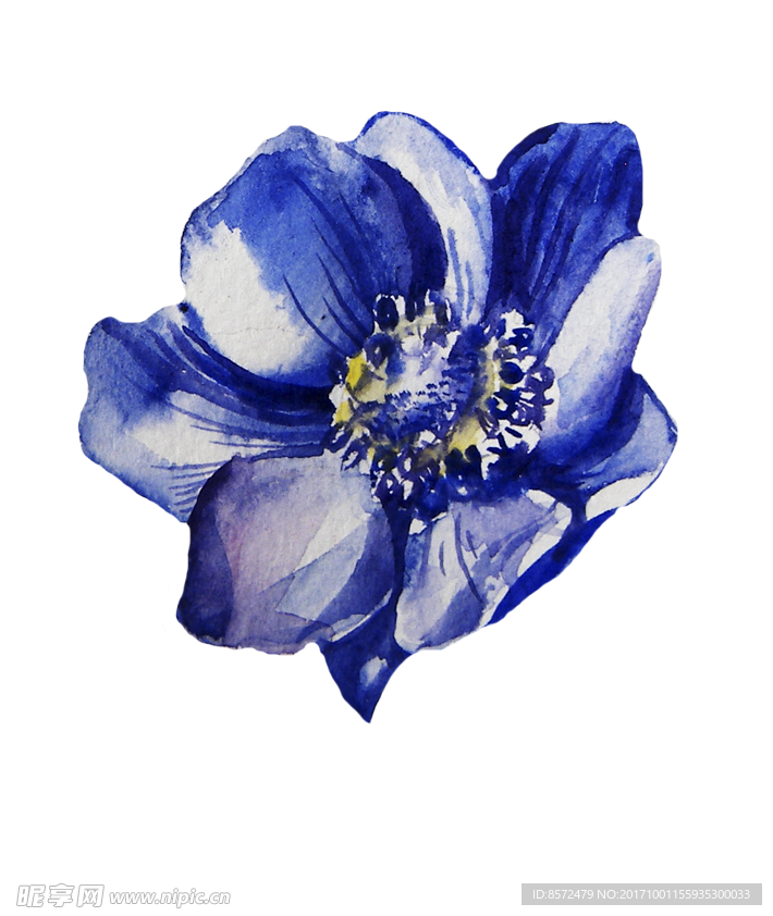 紫色水彩花