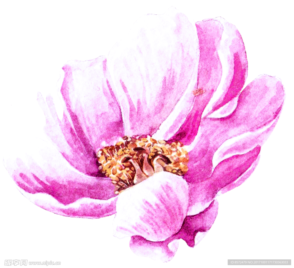 粉色花