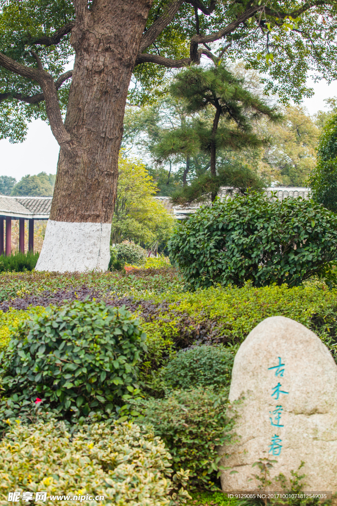 八大山人梅湖景区