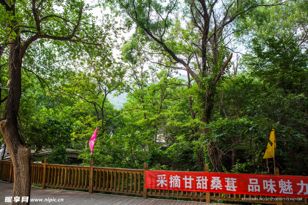北普陀山