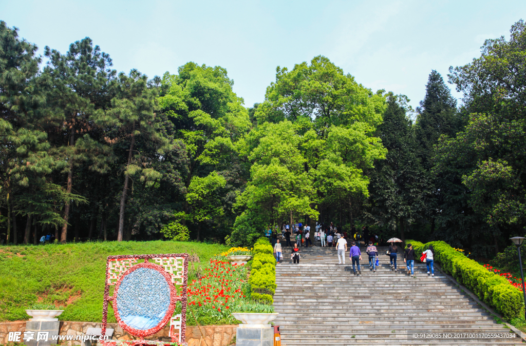 湖南省森林植物园