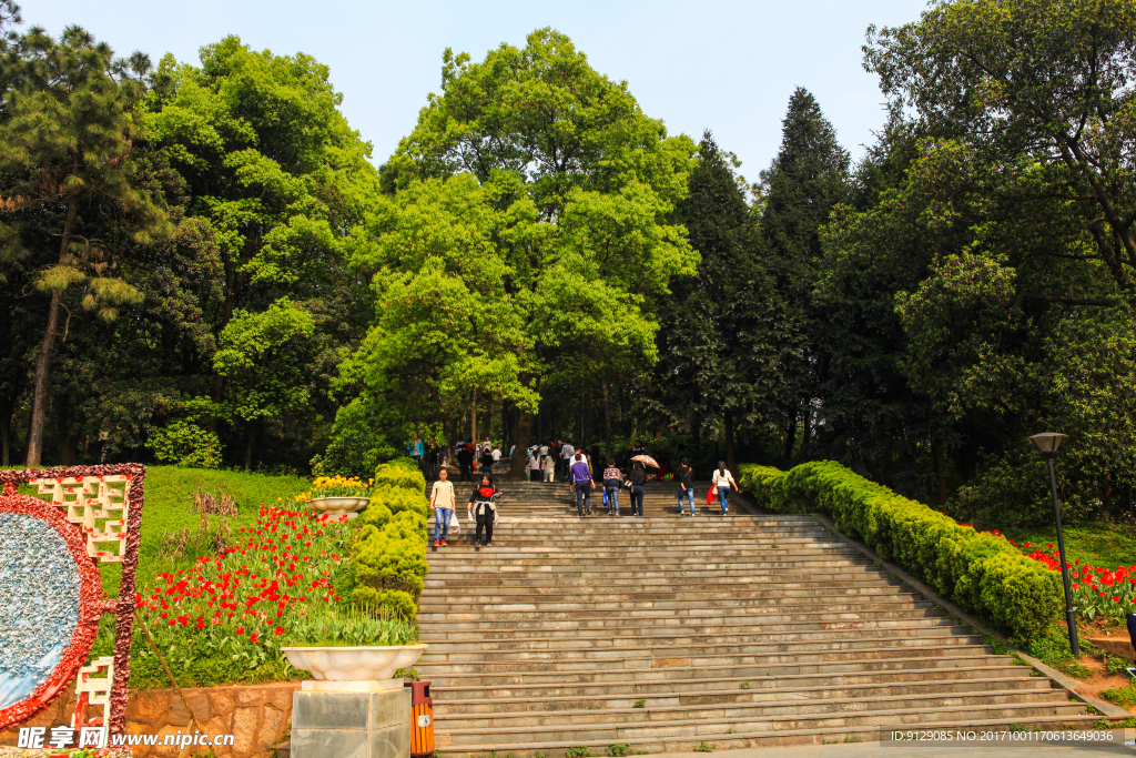 湖南省森林植物园