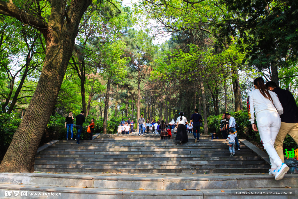 湖南省森林植物园