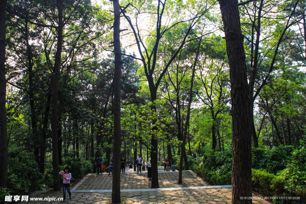 湖南省森林植物园