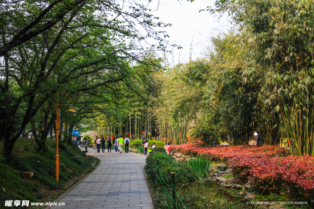 湖南省森林植物园