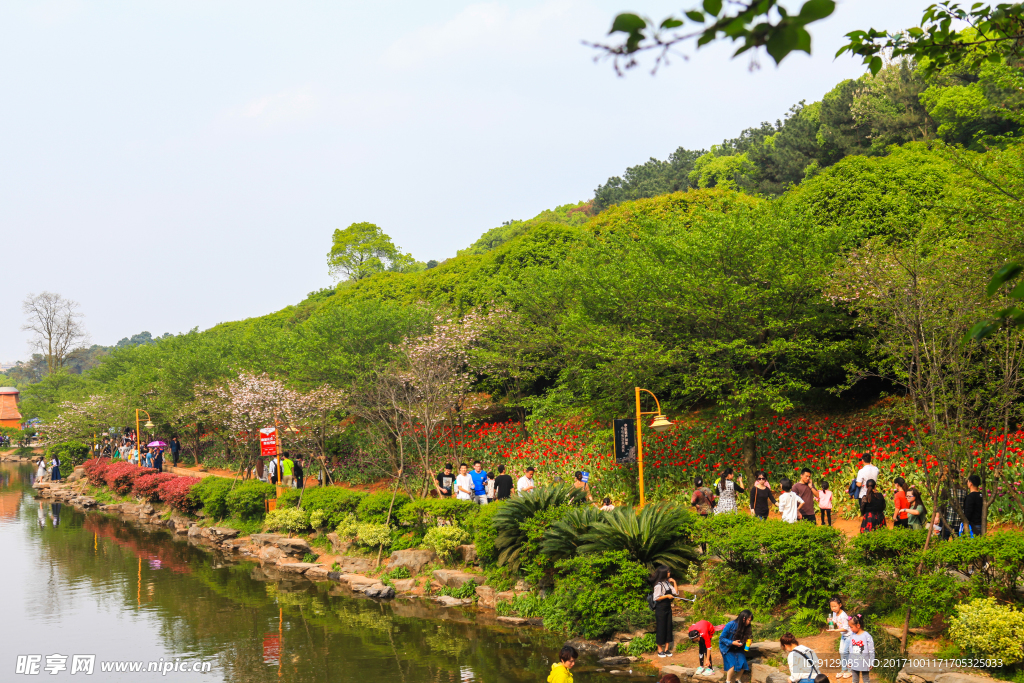 湖南省森林植物园