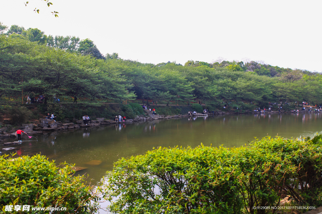 湖南省森林植物园