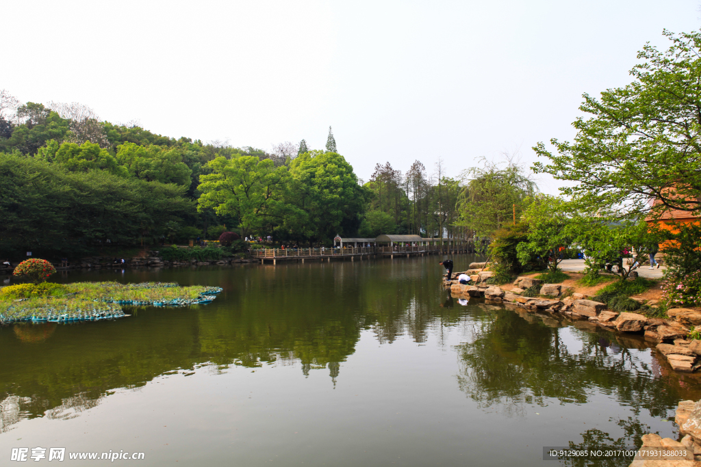 湖南省森林植物园